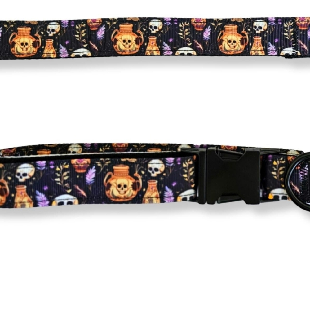 Skulls And Potions Nylon Dog Collar- Halloween Dog Collar- Skulls Dog Collar